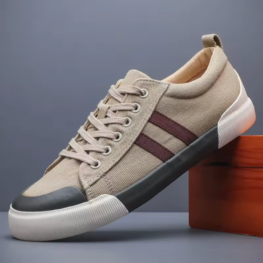 Canvas Low Top Sneakers with Reinforced Toe Cap