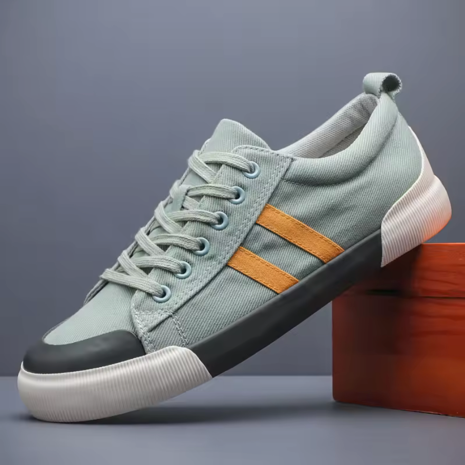 Canvas Low Top Sneakers with Reinforced Toe Cap