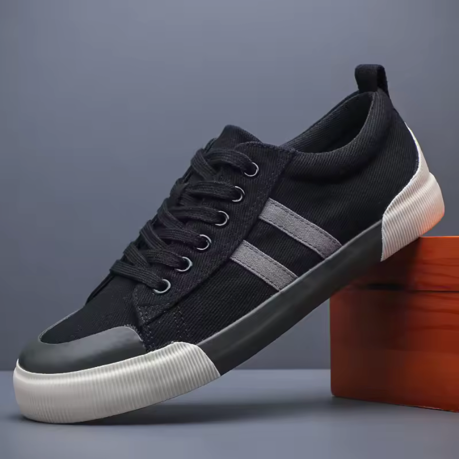 Canvas Low Top Sneakers with Reinforced Toe Cap