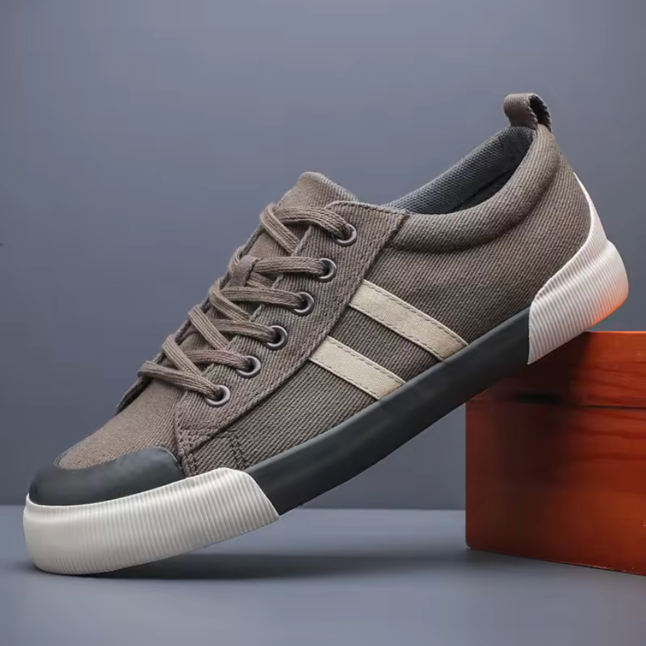Canvas Low Top Sneakers with Reinforced Toe Cap