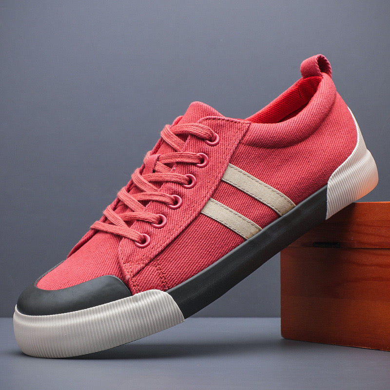 Canvas Low Top Sneakers with Reinforced Toe Cap
