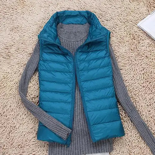 Zip-Front Stand Collar Quilted Puffer Gilet